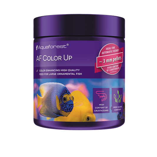 AF Color Up 100g
