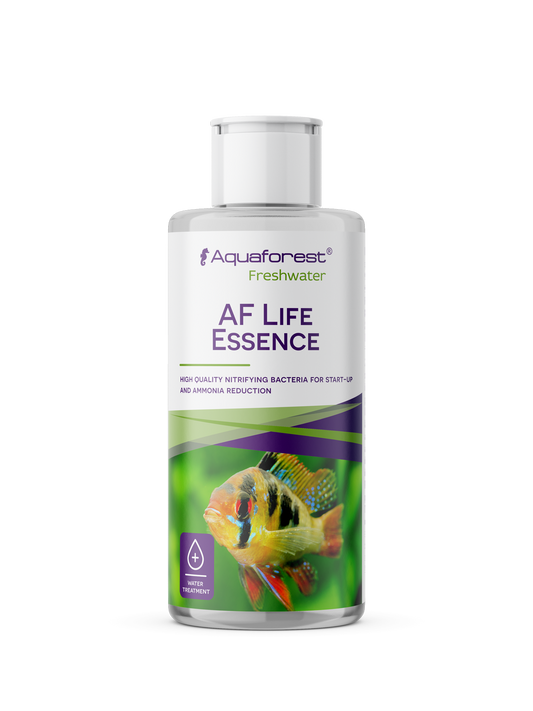 Life Essence 125ml