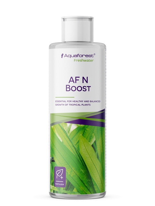 AF N Boost 250ml