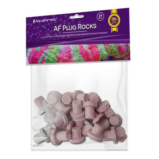 AF Plug Rocks Purple