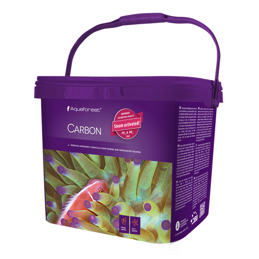 Carbon 5l