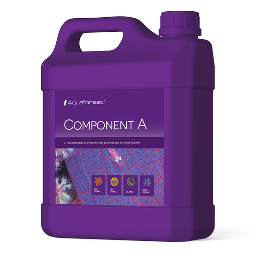 Component A 2l