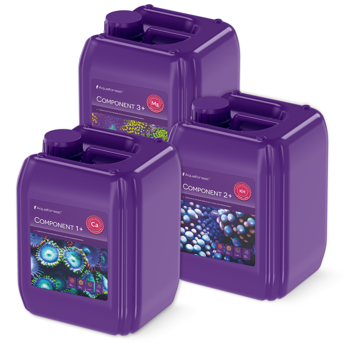 Component 1+2+3+ (3x5l)