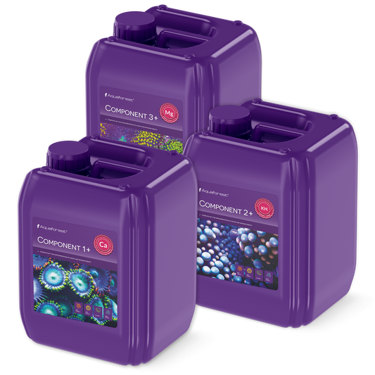 Component 1+2+3+ (3x5l)