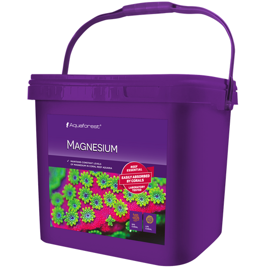 Magnesium 4kg