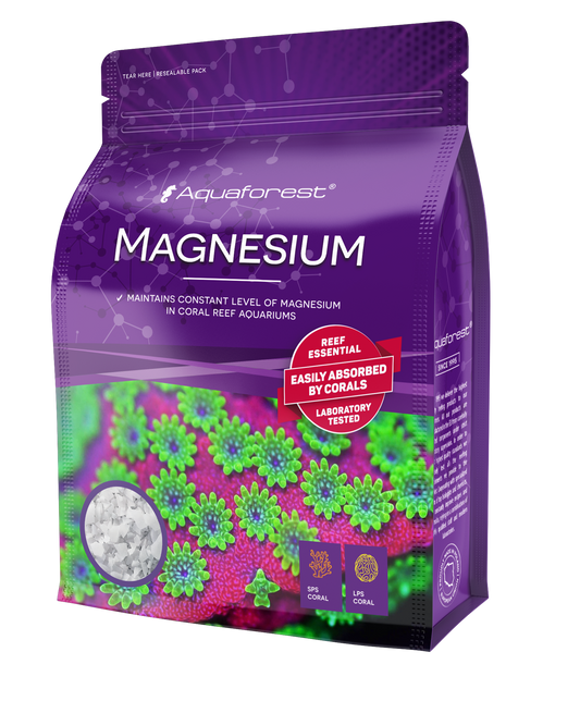 Magnesium 750g