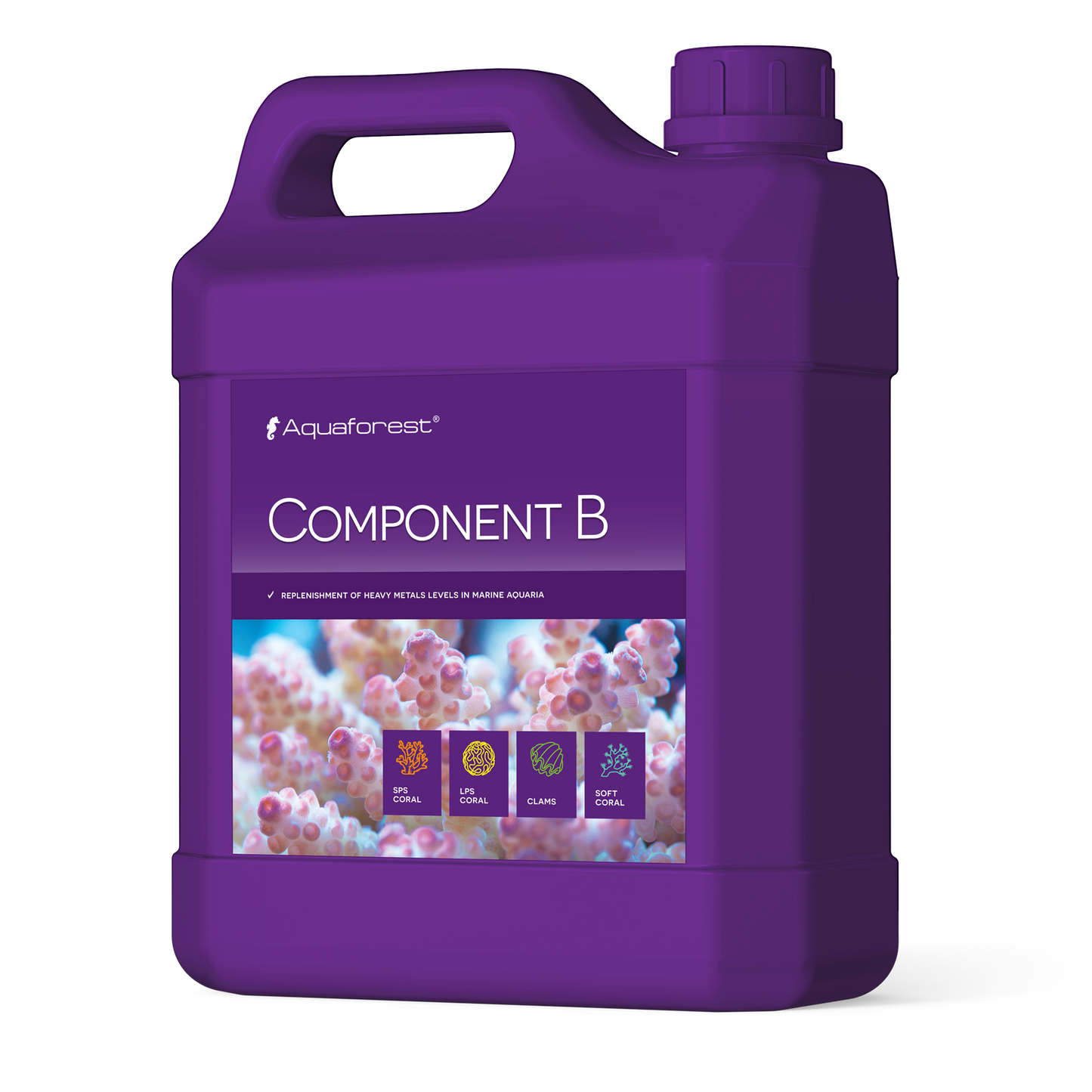 Component B 2l