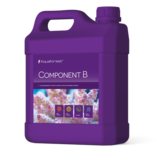 Component B 2l