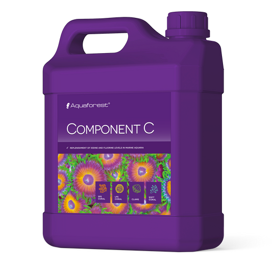 Component C 2l
